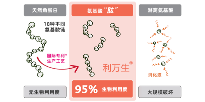 武汉20多岁严重脱发,脱发/掉头发