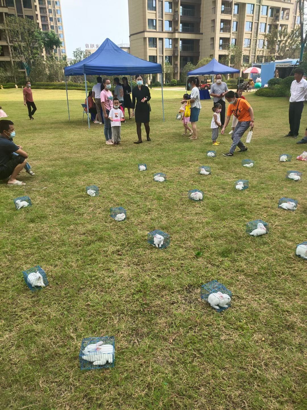 襄阳海狮表演出租，海洋生物展