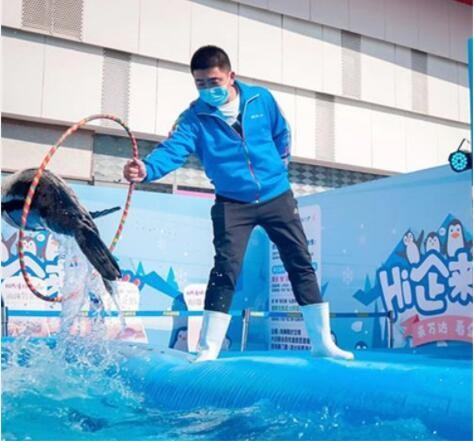 黄石市海洋生物展租赁价格，更多优惠折扣信息