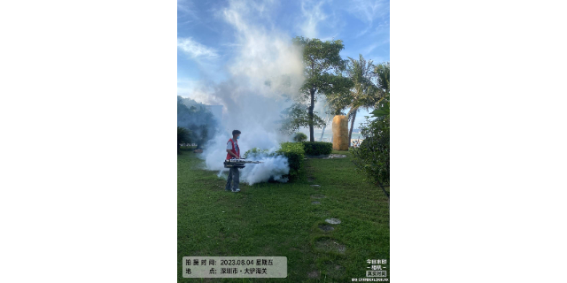 住宅老鼠消杀办法,四害消杀